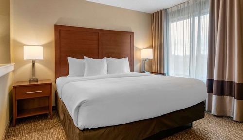 Suite, 1 King Bed, Non Smoking