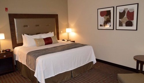 Standard Room, 1 King Bed, Non Smoking