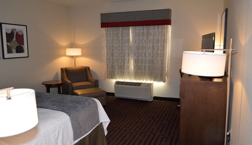 Standard Room, 1 King Bed, Accessible, Non Smoking