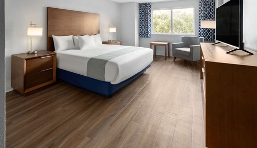 Room, 1 King Bed, Accessible, Non Smoking (Roll-In Shower)