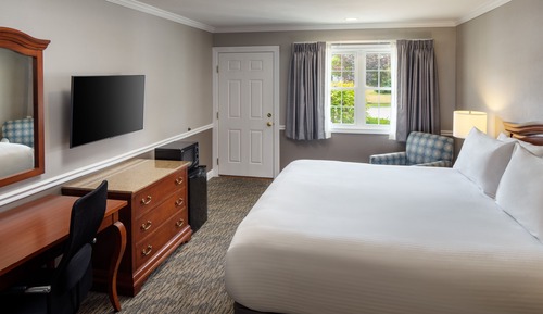 Room, 1 King Bed, Accessible