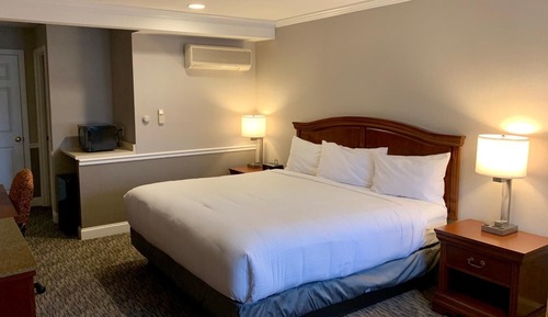 Room, 1 King Bed