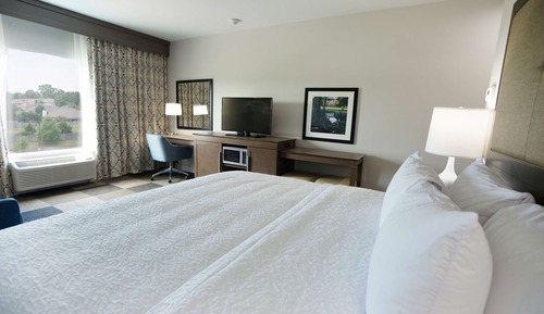 Studio, 1 King Bed, Accessible, Non Smoking (Roll In Shower)