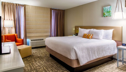 Room, 1 King Bed, Accessible, Bathtub