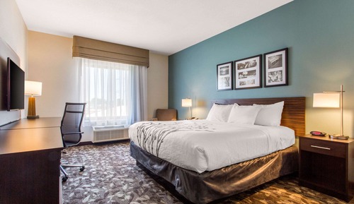 Standard Room, 1 King Bed, Non Smoking