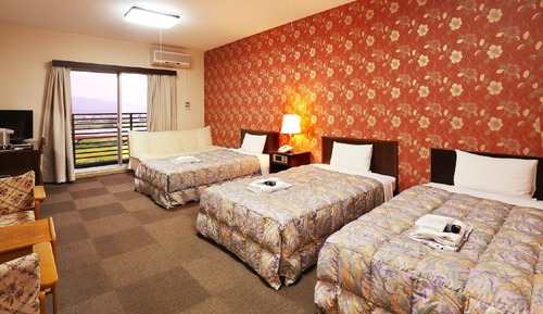 Standard Twin Room, Semi-Double Bed (For 1 person) Smoking 	