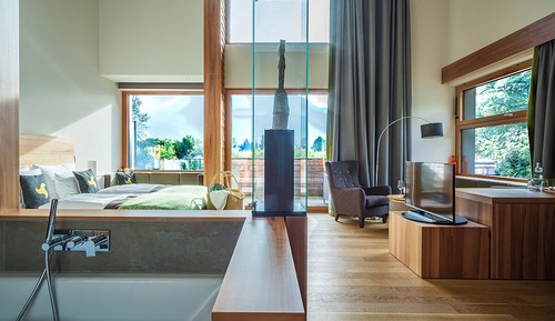 Loft Junior Suite (Mountain View)