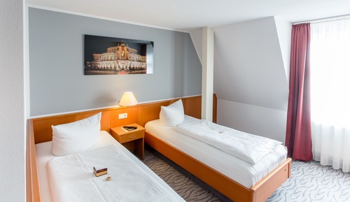 Standard Double Room Single Use