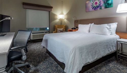 Premium Room, 1 King Bed, Mountain View