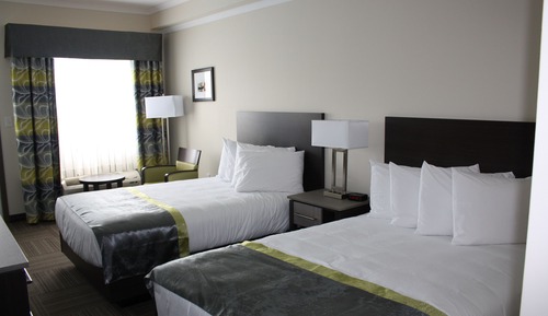Room, 2 Double Beds (Pet Friendly)