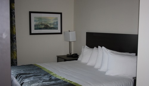 Suite, 1 Bedroom, Kitchenette (Not Pet Friendly)