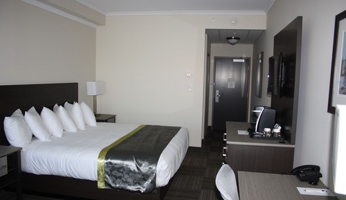 Room, 1 King Bed (Not Pet Friendly)
