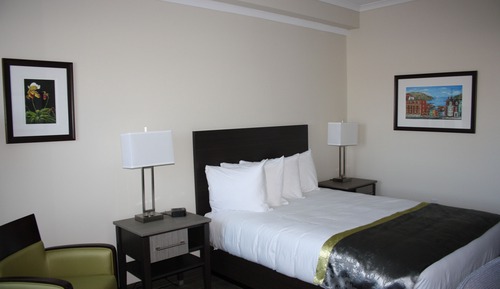 Room, 1 Queen Bed (Not Pet Friendly)