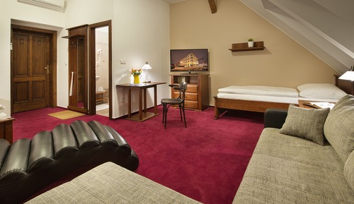 Family Apartment, Kitchenette, Executive Level (Executive Level)