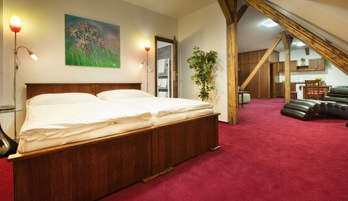 Luxury Apartment, Kitchenette, Executive Level (Executive Level)