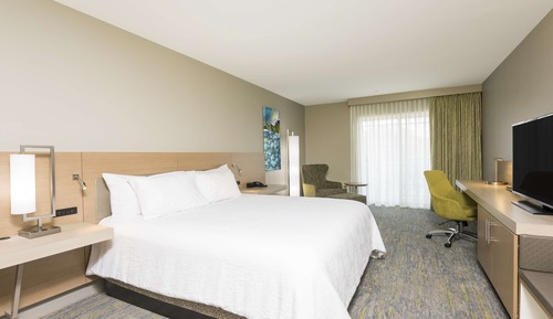 Deluxe Room, 1 King Bed, Non Smoking