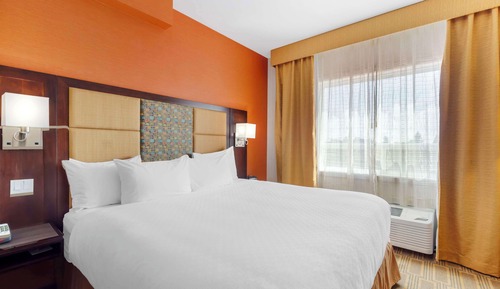 Executive Room, 1 King Bed, Non Smoking, Kitchenette
