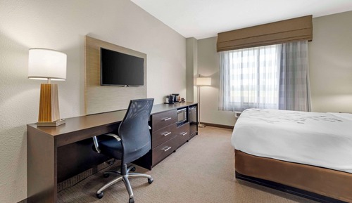 Suite, 1 King Bed with Sofa bed, Non Smoking (2 Person Sofa Bed)