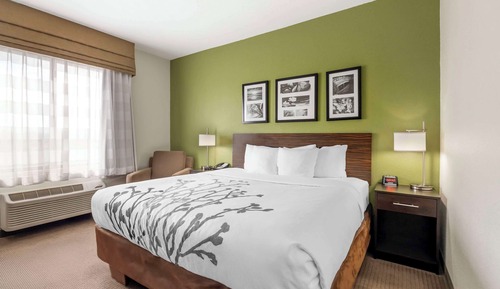 Standard Room, 1 King Bed, Non Smoking (Shower Only)