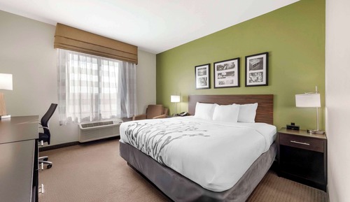 Standard Room, 1 King Bed, Non Smoking (Shower/Bathtub)