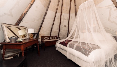 Basic Tent, 1 Queen Bed, Shared Bathroom