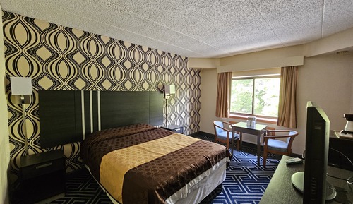 Room, 1 Queen Bed, Non Smoking
