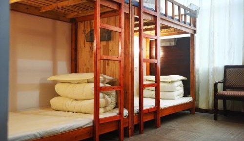 Bed in 6-Bed Dormitory Room