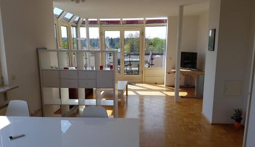 Penthouse Apartment