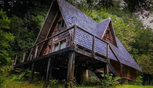Family Bungalow