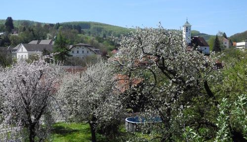 Double Room with Garden View