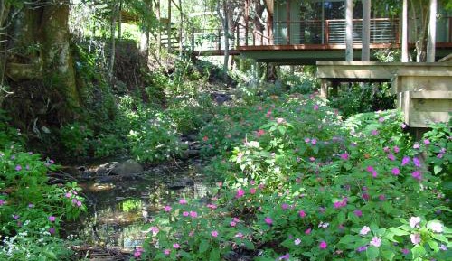 Studio with Garden View
