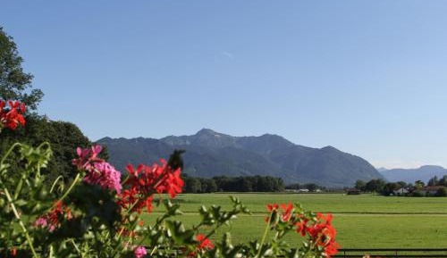 Comfort Double Room with Mountain View and Balcony