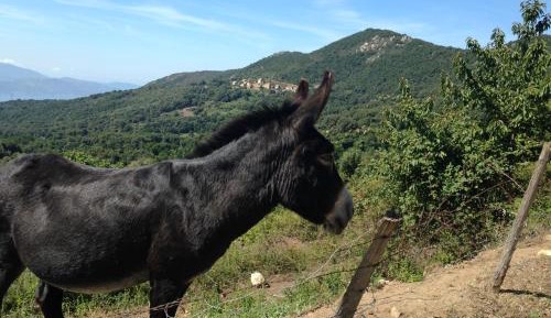 Studio Apartment with Sea View