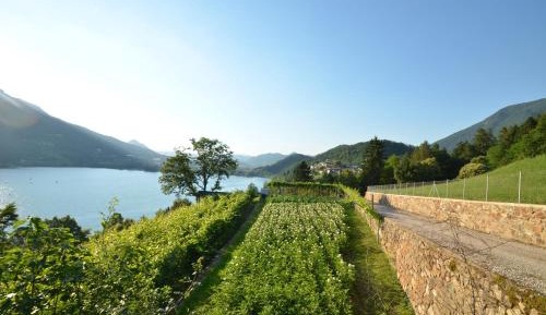Three-Bedroom Apartment with Lake View