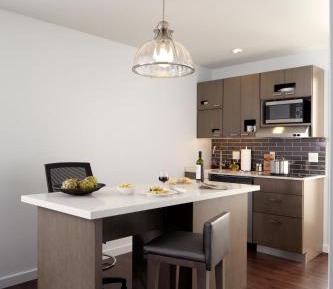 King Studio Suite with Kitchen and Sofa Bed