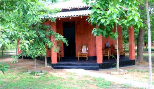 Eco Double Room