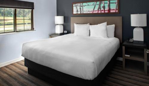 Two-Bedroom King Room with Double Beds and Roll-In Shower - Mobility Accessible