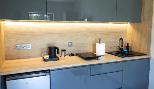 Deluxe Double Room with Shower