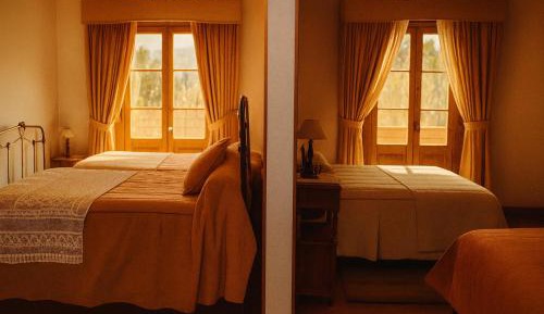 Standard Double or Twin Room