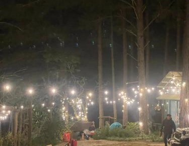 Family Room with Garden View