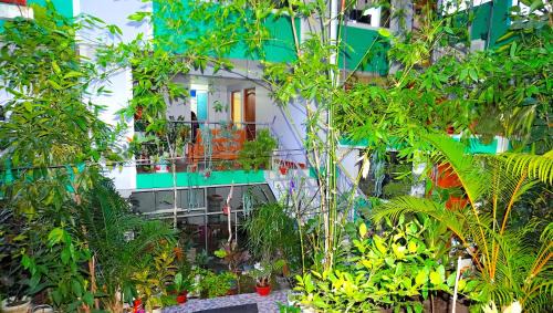 Double or Twin Room with Garden View