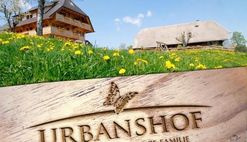 Two-Bedroom Studio Apartment