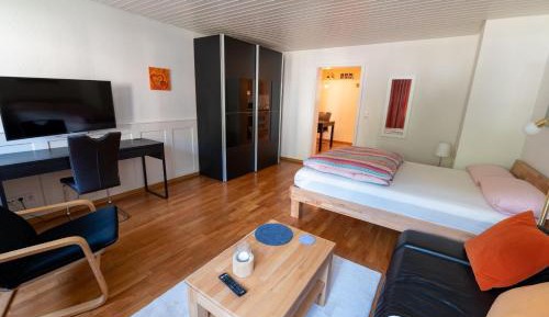 Superior One-Bedroom Apartment