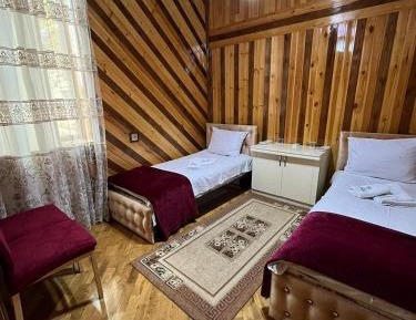 Deluxe Double or Twin Room with Mountain View