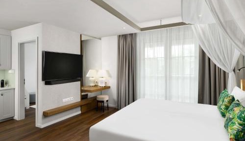 Deluxe Junior King Suite