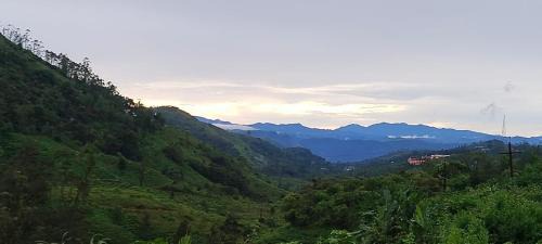 Double Room with Mountain View
