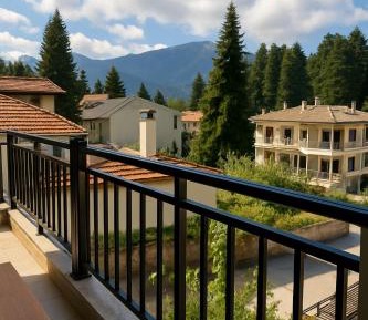 Studio with Fireplace and Mountain View