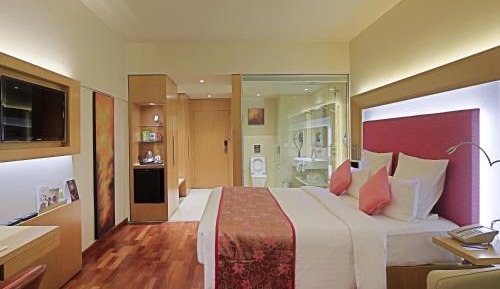 Superior Room 1 King Bed 