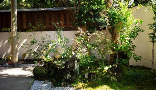 Double Room with Garden View