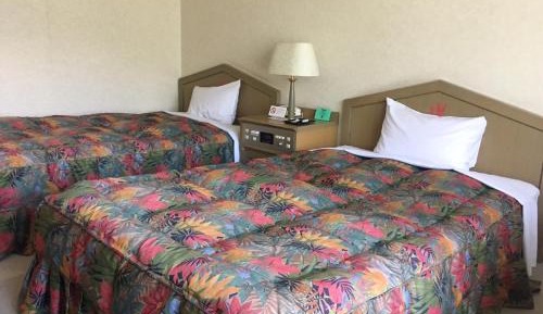 Twin Room - Non-Smoking